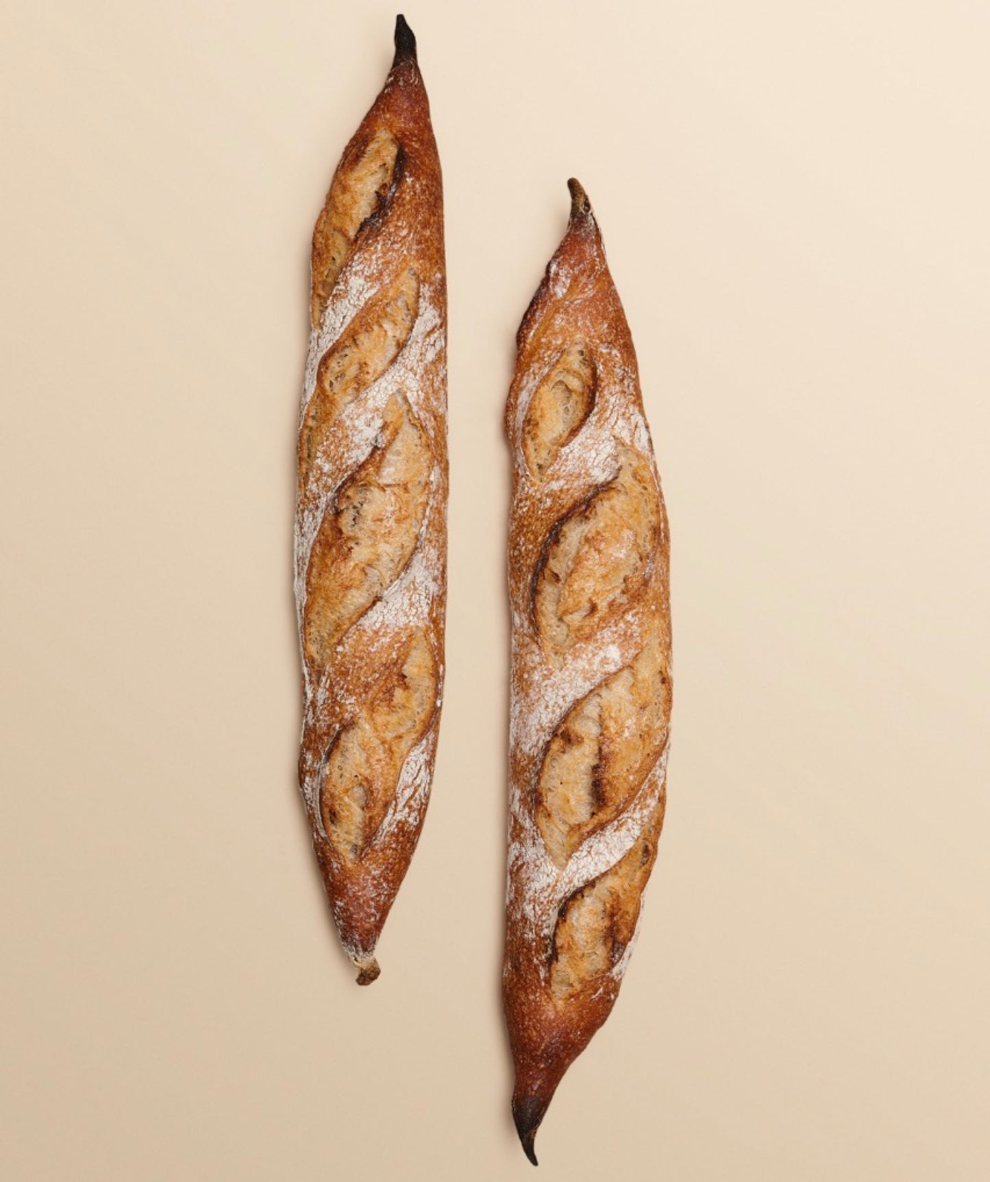 Ficelle aux Olives