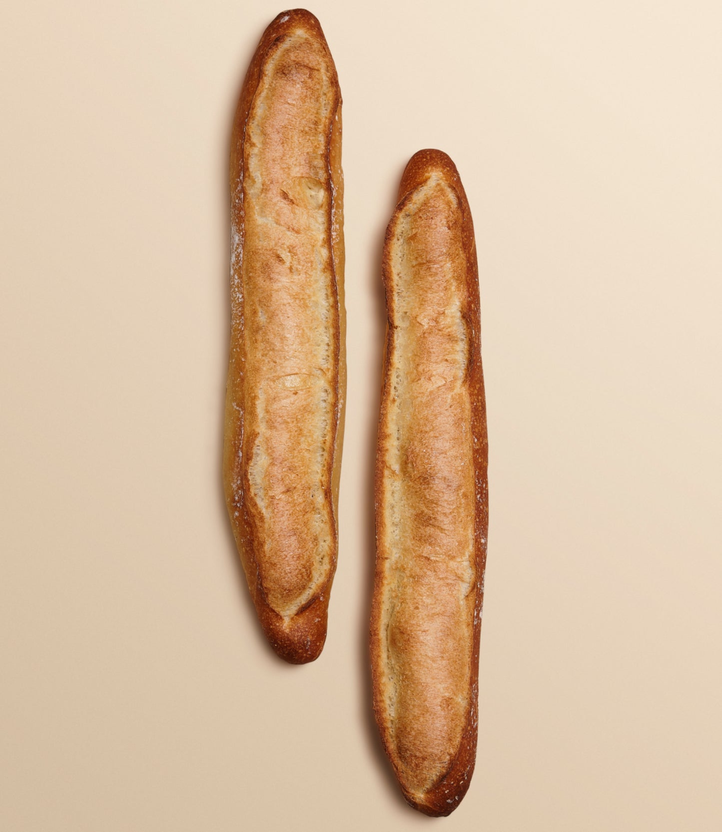 Baguette Tradition